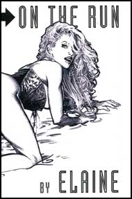 On the Run by Elaine mags inc, Reluctant press, crossdressing stories, transgender stories, transsexual stories, transvestite stories, female domination, Elaine